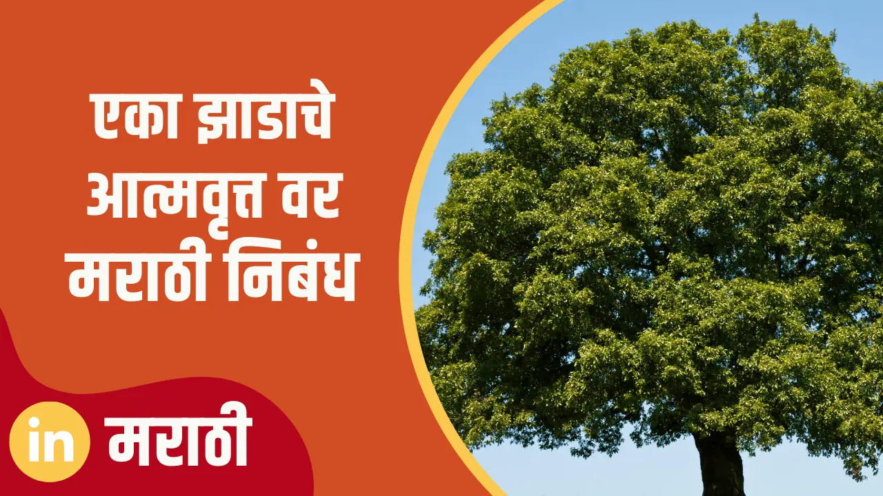 autobiography of a tree in marathi essay