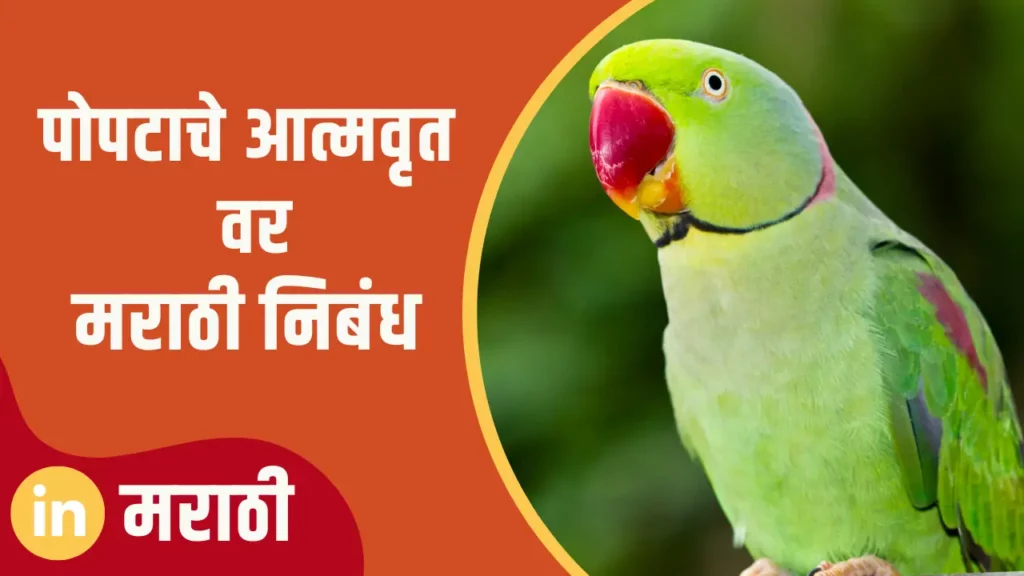 essay information about parrot in marathi